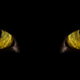 Illustration for article titled As many as 30% of cats are stone cold killers